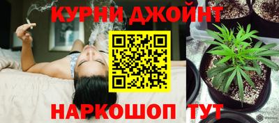 индика Кинель