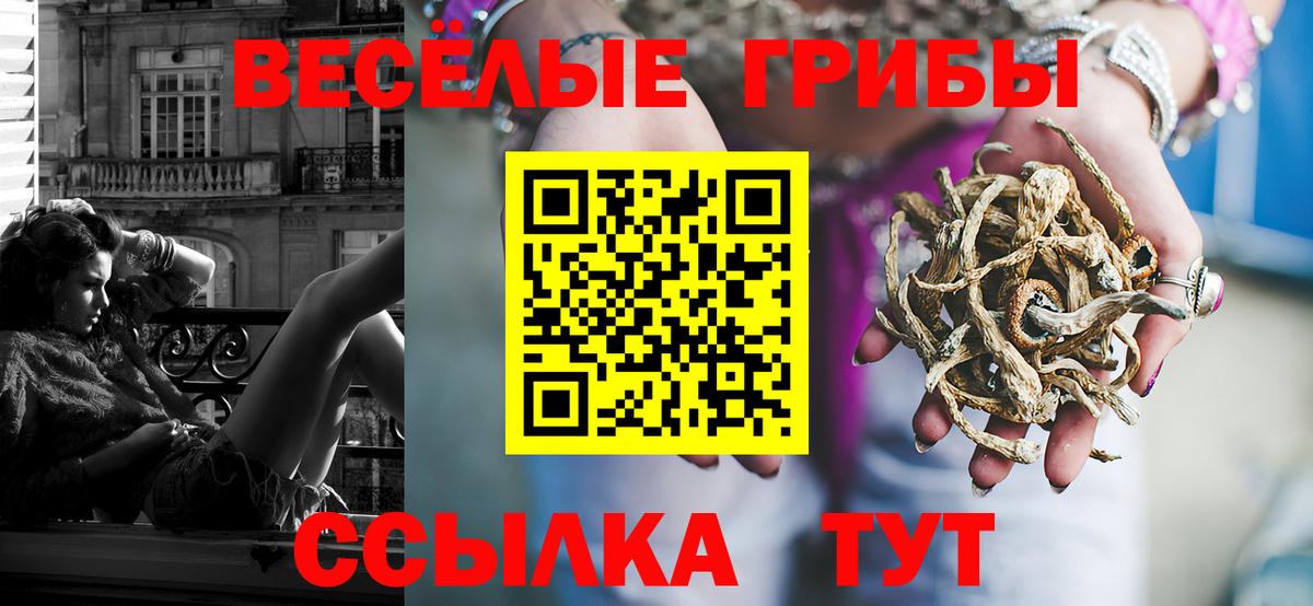 Галлюциногенные грибы ЛСД  Вход с VPN  Кулебаки 